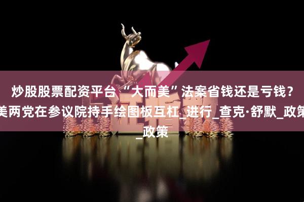 炒股股票配资平台 “大而美”法案省钱还是亏钱？美两党在参议院持手绘图板互杠_进行_查克·舒默_政策
