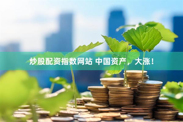 炒股配资指数网站 中国资产，大涨！