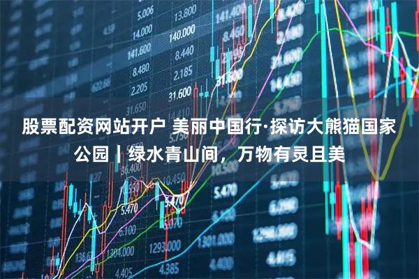 股票配资网站开户 美丽中国行·探访大熊猫国家公园｜绿水青山间，万物有灵且美